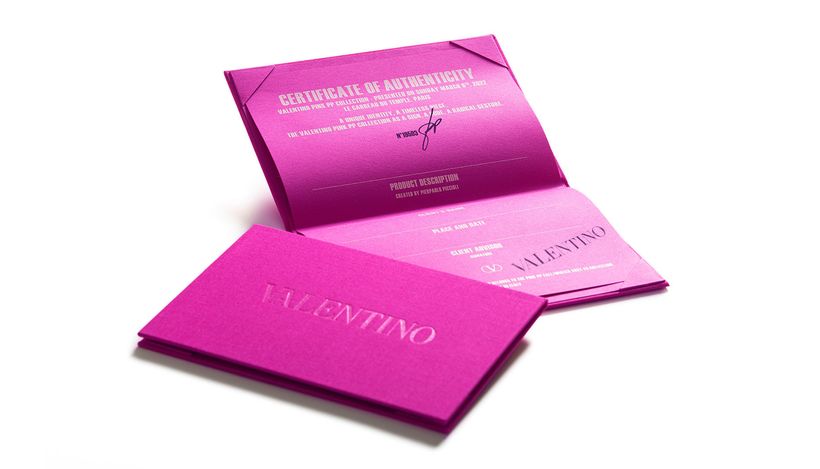 Valentino продвигает фирменный цвет Pink PP