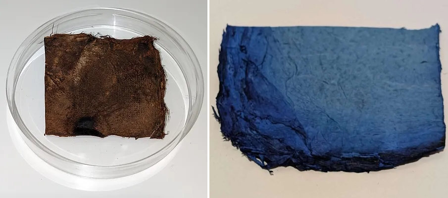 Кожа 3D Bio-Tissues, выращенная в лабораторных условиях